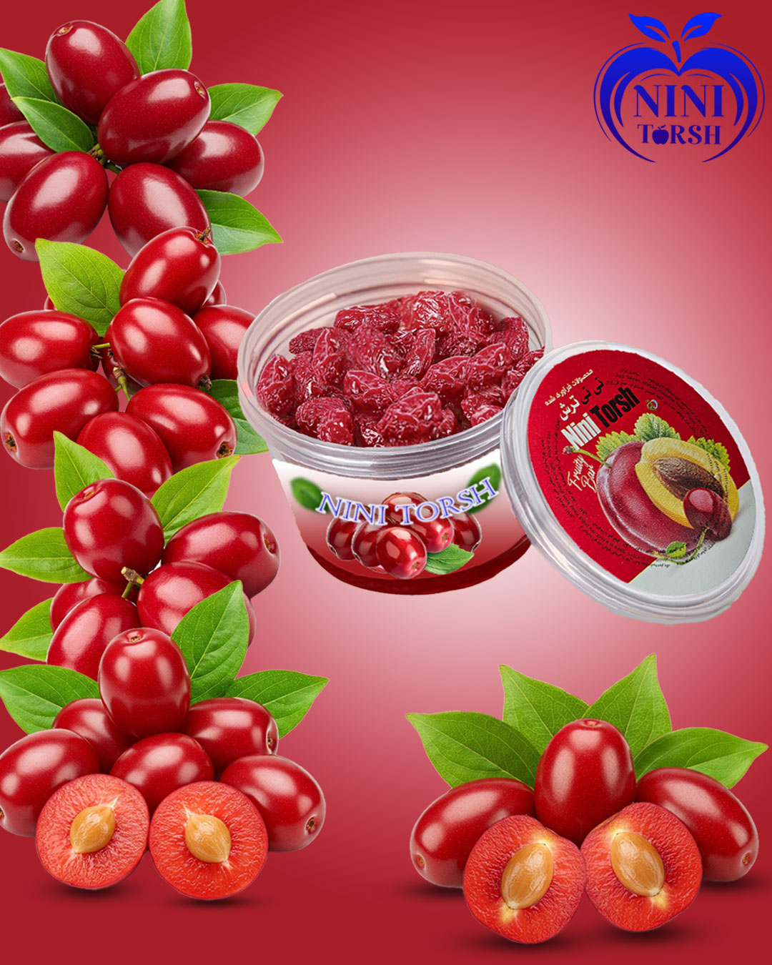 ذغال اخته سطلی