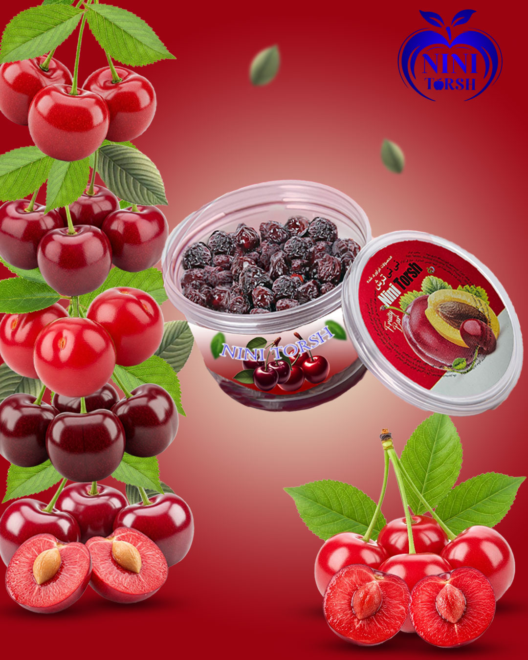 آلبالوی سطلی