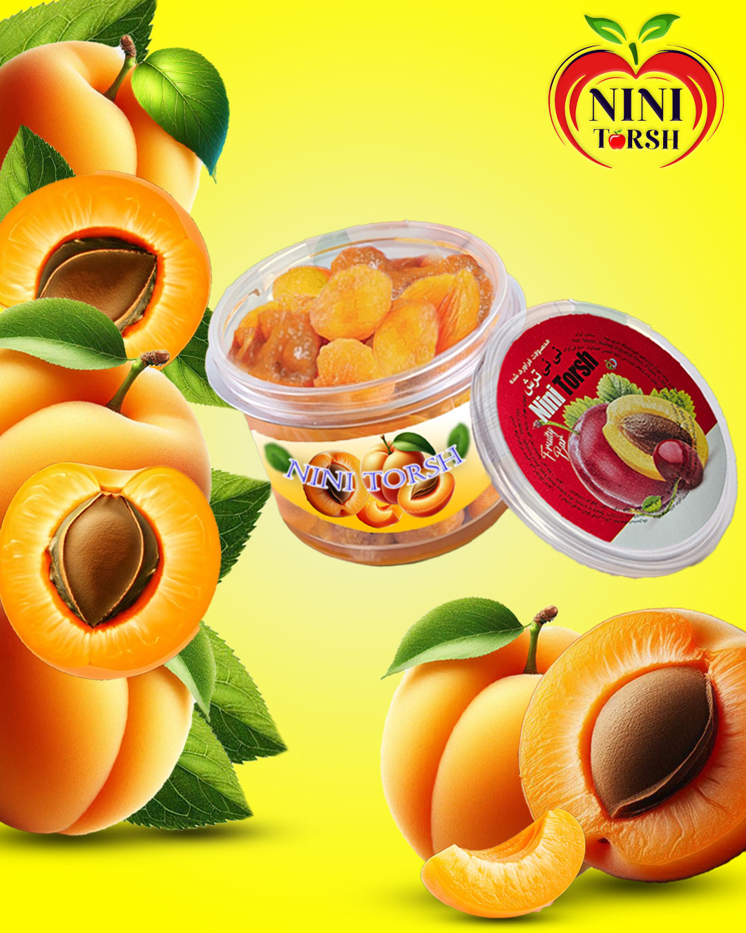زردآلو سطلی
